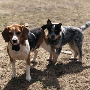 Meet your Posher, Savanna